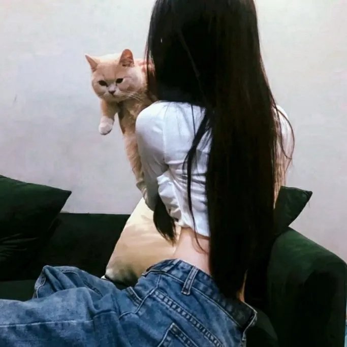 深宫绮梦